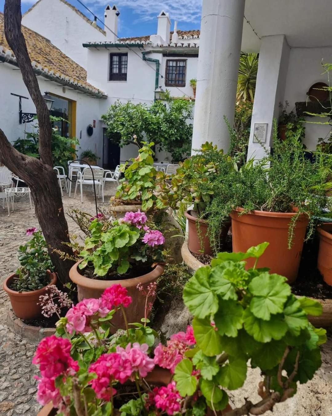 Hotel Rural Verde Oliva Comares Екстериор снимка