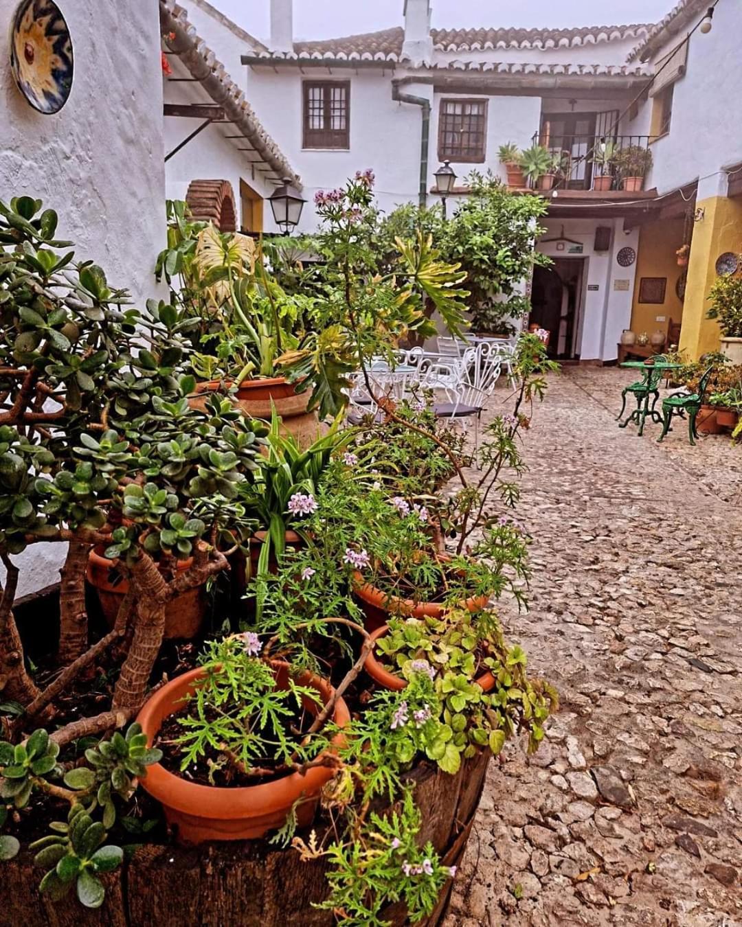 Hotel Rural Verde Oliva Comares Екстериор снимка